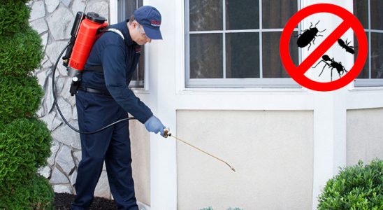Mavişehir Dezenfeksiyon böcek ilaçlama ve haşere kontrolü — ilaclama-tr.com